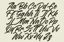 Madena Vintage Bold Script Font