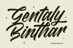 Madena Vintage Bold Script Font