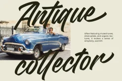 Madena Vintage Bold Script Font