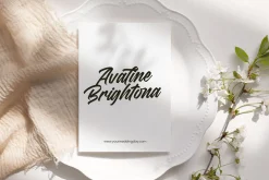 Madena Vintage Bold Script Font