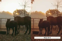 20 Magic Hour Lightroom Presets