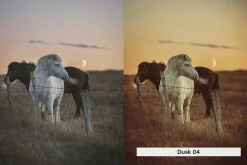 20 Magic Hour Lightroom Presets