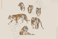 Magic Jungle Collection