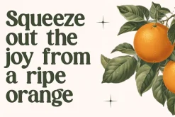 Magics Flavor Retro Modern Serif