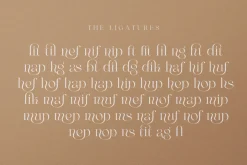 Maglite - Modern Ligature Serif
