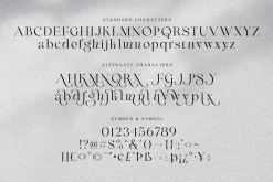 Maglite - Modern Ligature Serif