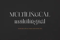 Maglite - Modern Ligature Serif