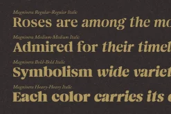 Magnivera; 8 Display Serif Font