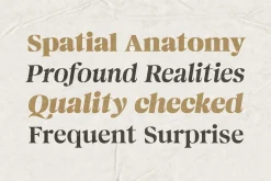 Magnivera; 8 Display Serif Font
