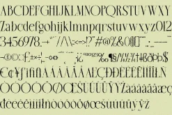 Magora | Modern Distressed Serif