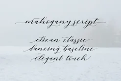 Mahogany Script