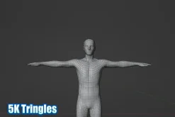 Male Human Base Mesh – Rigged