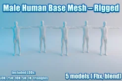 Male Human Base Mesh – Rigged