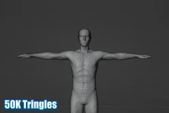 Male Human Base Mesh – Rigged