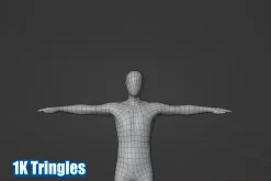 Male Human Base Mesh – Rigged