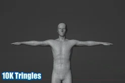 Male Human Base Mesh – Rigged