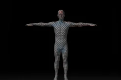 Male Human Base Mesh – Rigged