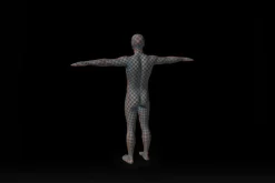 Male Human Base Mesh – Rigged