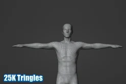 Male Human Base Mesh – Rigged