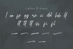 Malela Handwritten Brush Font