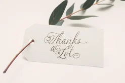 Maleryan Script - Modern Calligraphy