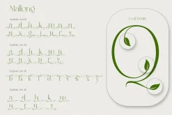 Mallong Typeface