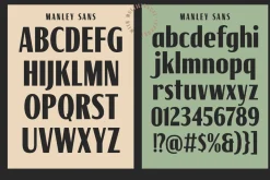 Malney Classic Font Duo