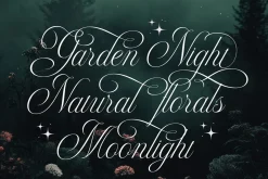 Marinsley – Modern Cursive Script