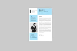 Mario Public Resume Designer