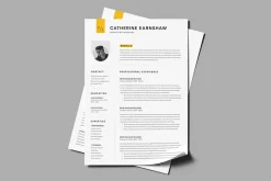 Marketing Manager Resume Template