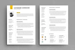 Marketing Manager Resume Template