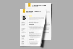 Marketing Manager Resume Template