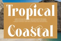 Martego Modern Bold Serif Font