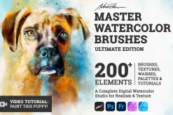 Master Watercolor Brushes - Ultimate