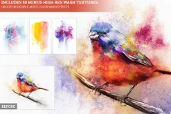 Master Watercolor Brushes - Ultimate