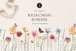 MEADOW bright wild flowers set
