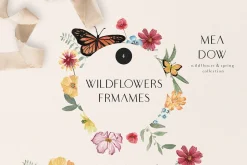 MEADOW bright wild flowers set