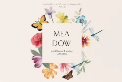 MEADOW bright wild flowers set