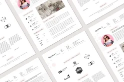 Media Kit Template
