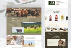 Mega UI Website Template Bundle