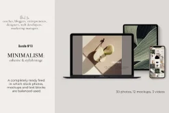 MEGA BUNDLE. Minimalism. 540+