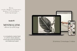 MEGA BUNDLE. Minimalism. 540+