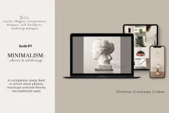 MEGA BUNDLE. Minimalism. 540+
