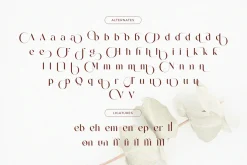 Mending – Stylish Display Serif Font
