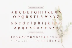 Mending – Stylish Display Serif Font