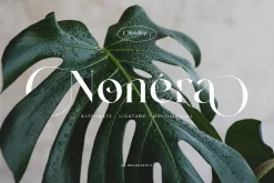 Mending – Stylish Display Serif Font