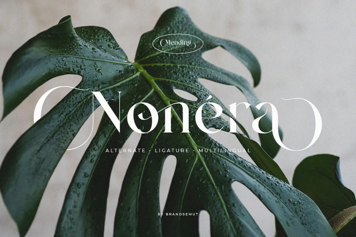 Mending – Stylish Display Serif Font