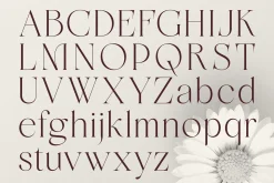Meravila - A Sophisticated Serif