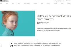 Merinda - WordPress Blog Theme