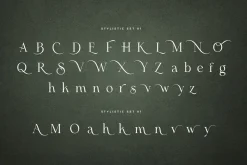 Merona Heavens | Ligature Serif